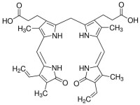 膽紅素化學結構式