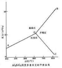 相關圖片