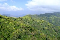 無量山國家級自然保護區