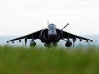 Harrier