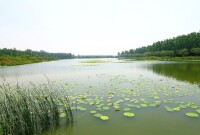 東台永豐林農業生態園1　高清大圖