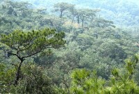 鼓山十八景