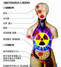 放射性物質對人體的危害