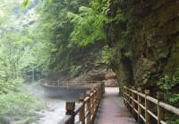 靈芝湖森林公園