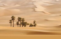 阿拉伯半島上的沙漠