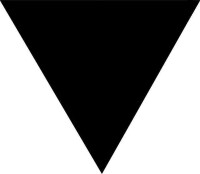 女同性戀女性主義標誌（黑三角）