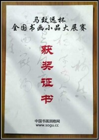 趙新[當代中青年書法家]