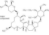 XDE-175-J:(75.5%)