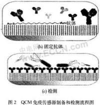 免疫感測器 