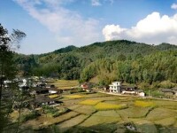 高地村[高地村地處福建省連城縣莒溪鎮轄域]