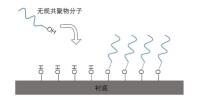 無規共聚物