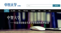 中國國際技術智力合作有限公司