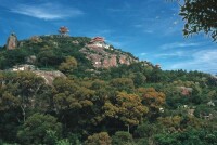 黃花山國家森林公園