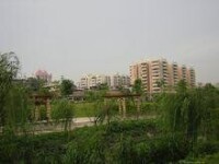 公園景色