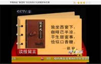 CCTV2關於“新國風”的報道