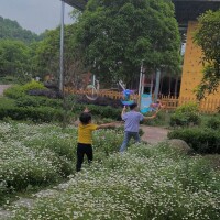 藍美莊園