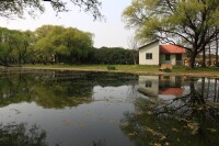 上海共青國家森林公園