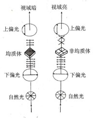 立體印刷原理