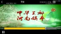 CCTV1形象宣傳片 《中華玉都 河南鎮平》