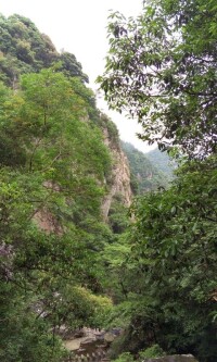 福建旗山國家森林公園