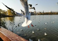 海寶公園風光掠影