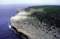 納弗沙島