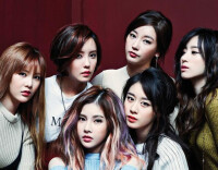 以女子組合T-ara成員的身份正式出道