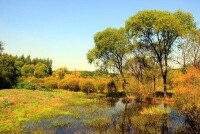 哈爾濱太陽島國家濕地公園