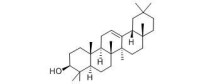 白樺酯醇結構式