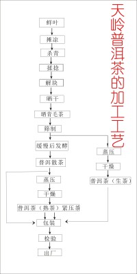 普洱茶製作技藝