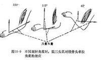 力量素質