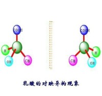 乳酸的對映異構現象