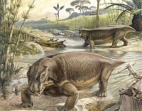 身形像豬和有類似豬鼻的水龍獸，據說在恐龍時代來臨前曾統治地球超過100萬年