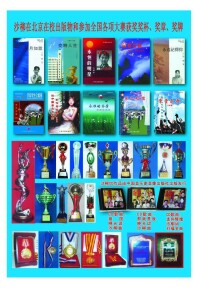 沙柳出版作品，所獲獎獎盃、獎章、獎牌