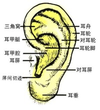 絕經期症候群