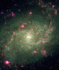 M33