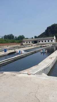 虹鱒魚養殖基地及周邊景色