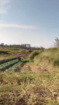 珠坑村[福建秀嶼區笏石鎮下轄村]