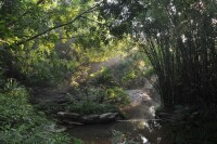 東莞塘廈 大屏嶂森林公園