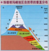 珠穆朗瑪峰的垂直自然帶