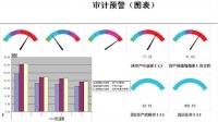 審計預警