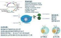 賽業生物科技