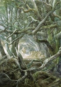 幽暗密林 作者:Alan Lee