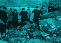 成鈞與劉亞樓在被擊毀的飛機殘骸現場