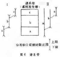 生物地層學