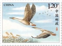 中國郵政於2018年8月17日發行《大雁》特種郵票