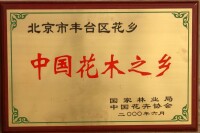 2000年花鄉獲得“中國花木之鄉”的稱號