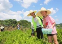 相思嶺園區生態體驗