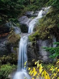 蘆芽山風景名勝區