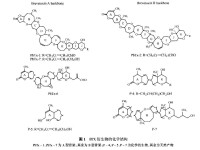 短裸甲藻毒素及其衍生物分子結構